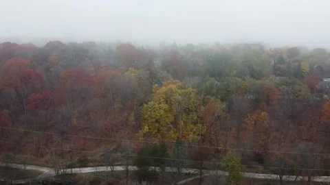 Drone flying over coloured trees on a foggy fall day Stock Footage 252468248