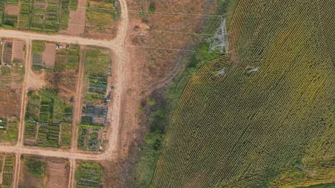 Drone flying over community gardens and a field, promoting urban agriculture Stock Footage 343728847