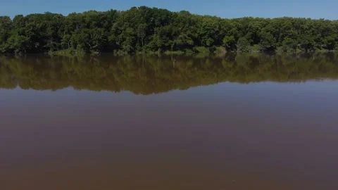 Drone flying over cranes on small lake in the Midwest Stock Footage 135405312