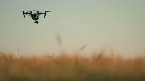 Drone flying over crop field in Ukraine. Daytime. Aerial footage in sunny day Stock Footage 201464127