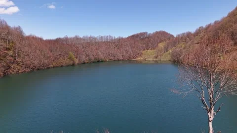 Drone Flying Over Crystal Blue Lake With Burnt Forest in 4K 스톡 동영상 339061681