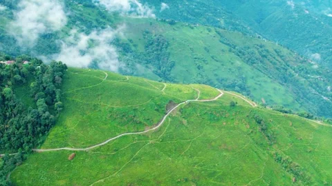 Drone Flying Over Darjeeling Tea Gardens With Floating Clouds Stock Footage 321633702