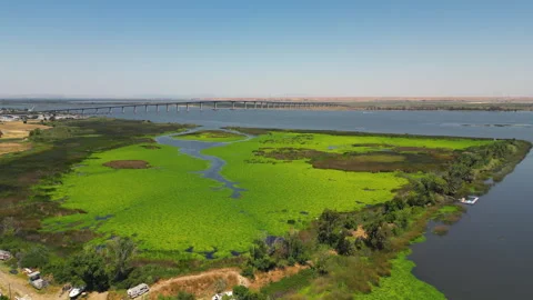 Drone flying over the Delta in Oakley, California Stock Footage 246974773