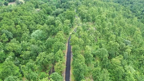 Drone flying over dense forest following a rural road. 库存影片 157529602