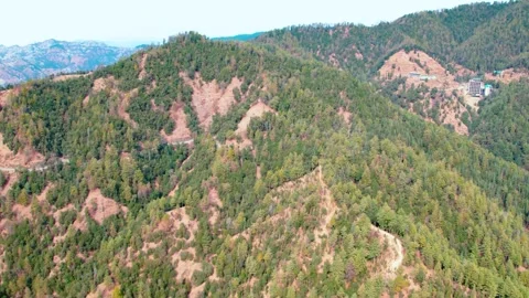 Drone Flying Over Dense Green Forest in Mountains – 4K Scenic Nature Footage Stock Footage 330155253