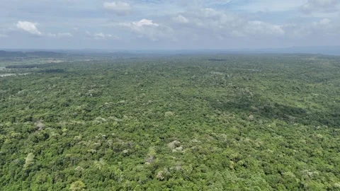Drone flying over dry dipterocarp forest in Buon Don, Dak Lak 動画素材 337397667