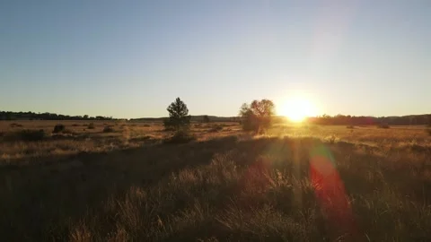 Drone Flying Over Dry Grass at Sunrise Capturing Golden Hour 스톡 동영상 304851098