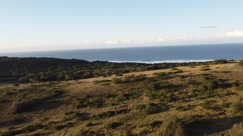 Drone flying over dunes onto Wild Coast beach - Eastern Cape, South Africa Stock Footage 217470415