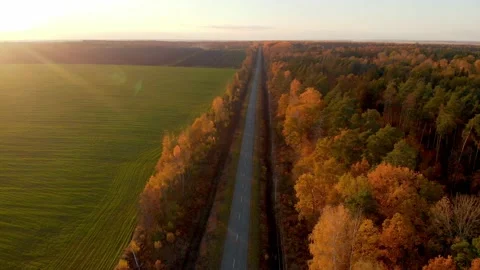 A drone flying over an empty highway in an autumn forest Stock Footage 167684515