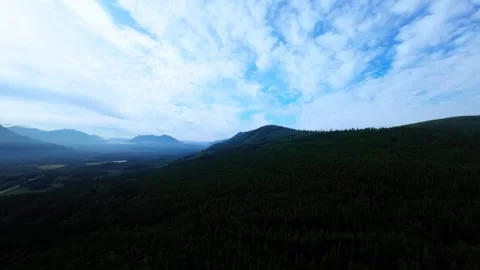Drone flying over Evergreen Forest (Color Graded) Stock Footage 246299840