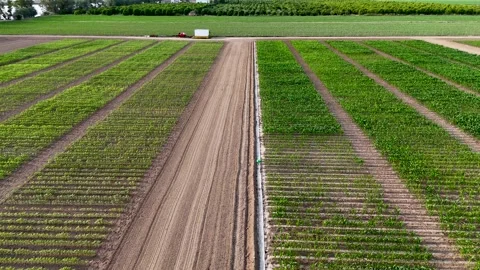 Drone flying over experimental crop fields for scientific research Stock Footage 336007154