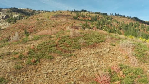 Drone flying over fall colors 動画素材 296795281