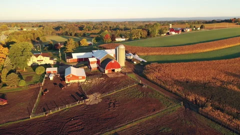 Drone flying over a Farm during sunrise (sunset) Stock Footage 140295008