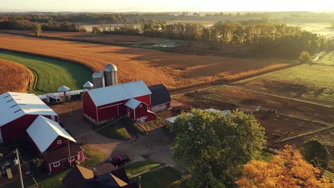 Drone flying over a Farm during sunrise (sunset) Stock Footage 140295442