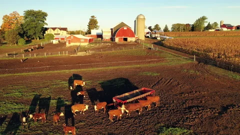 Drone flying over a Farm during sunrise (sunset) Stock Footage 140295949