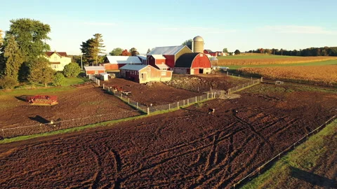 Drone flying over a Farm during sunrise (sunset) Stock Footage 140295962