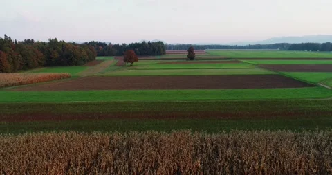Drone flying over farmland fields in Slovenia Stock Footage 147865292