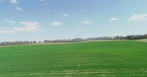 Drone flying over a field during sunset Stock Footage 264770323