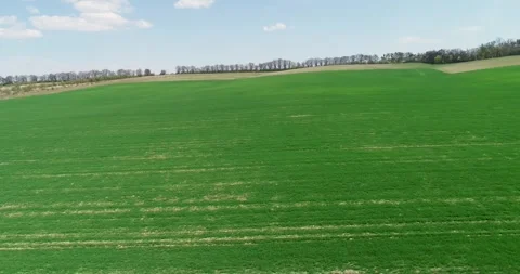 Drone flying over a field during sunset Stock Footage 264770336
