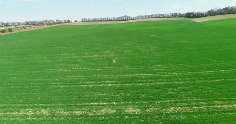 Drone flying over a field during sunset Stock Footage 264770346