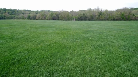 Drone Flying Over Field of Grass Moderate Pace 4k Video stock 126860047