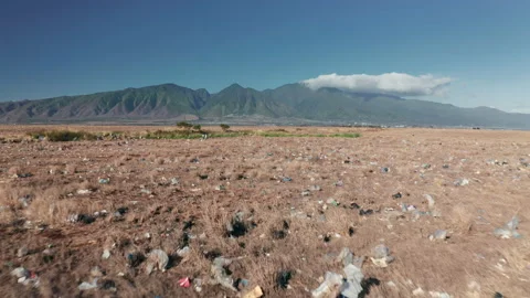 Drone flying over field polluted by non-degradable garbage and waste, Hawaii 4K Stockbeeldmateriaal 146429203