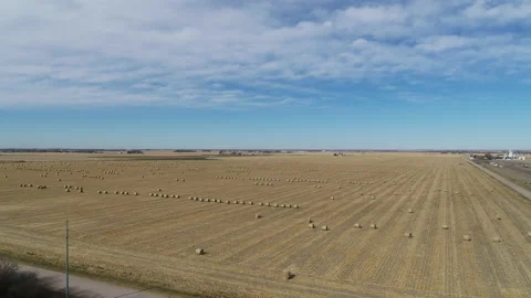 Drone Flying Over Field Of Rolled Hay Bales With Blue Sky And White Clouds Stock Footage 229188478