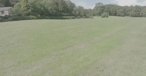 Drone flying over field in summer towards forest shot in log 스톡 동영상 313928165