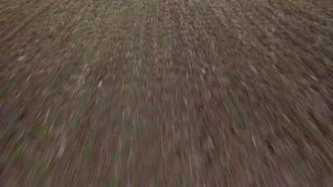 Drone flying over a field surrounded by trees showing the stormy clouds Video stock 89616629