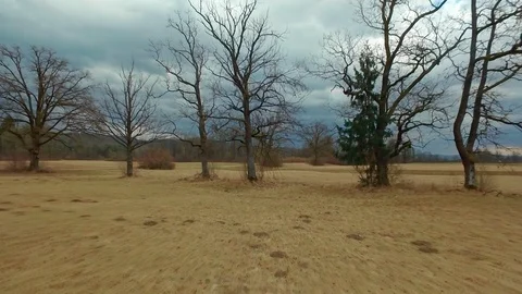 Drone flying over a field surrounded by trees showing the stormy clouds Video stock 89618613
