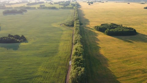 The drone is flying over the field.the wind flaps the ears of wheat View from 库存影片 114232271