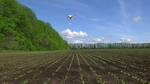 Drone flying over a field of young sugar beet Stock Footage 154694526