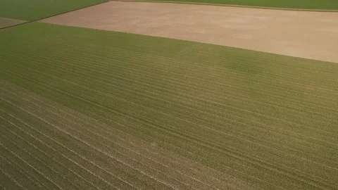 Drone flying over fields filled with crops in The Netherlands Stock Footage 75351250