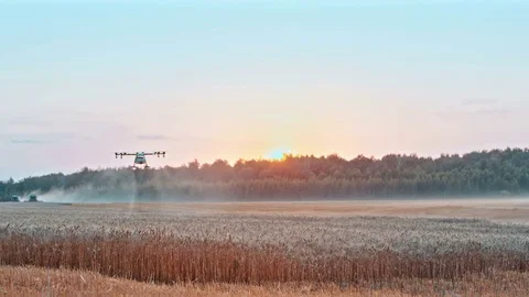 Drone flying over fields Vídeos de archivo 84074644