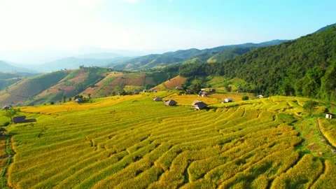 Drone flying over fields in Pa pong piang rice terraces Video stock 220465545
