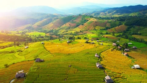 Drone flying over fields in Pa pong piang rice terraces Stock Footage 220465672