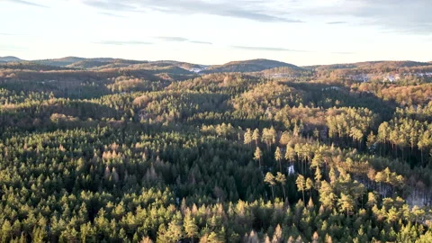 Drone flying over fir tree forest during winter 스톡 동영상 147497287