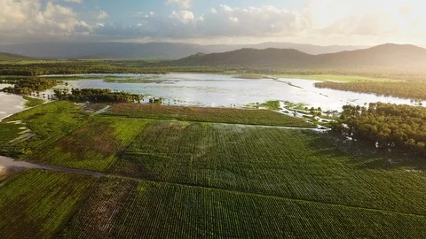 Drone flying over flooded agricultural crops with water catchment, Stock Footage