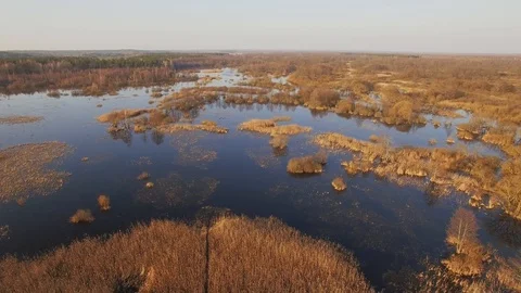 Drone flying over flooded wild area low height pan birds eye view at sunset Stock Footage 96236348