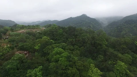 Drone flying over a forest and revealing a valley Stock Footage 85814067