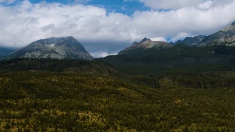 Drone flying over the forest and clearings in the mountains 4k HDR H264 Stock Footage 88270801