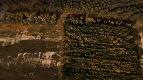 Drone flying over a forest and sea. Beautiful Nature and City View Stock-Footage 132340267