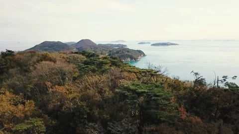 Drone flying over forest and islands.. Video stock 171973961