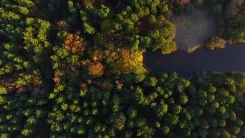 Drone Flying over Forest and Lake in Autumn Stock Footage 235066704
