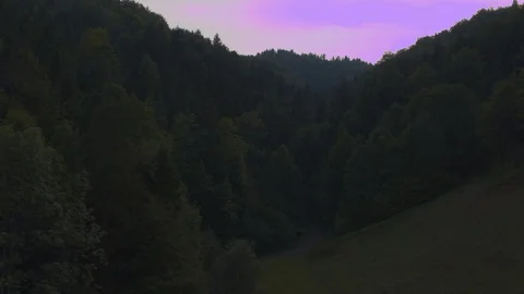 Drone flying over the forest between trees in the mountains 4k HDR H264 Stock Footage 88324215