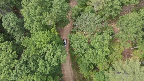 Drone Flying over a Forest with Car Driving Down Dirt Road Vídeo Stock 92178220