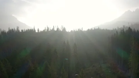 Drone flying over forest during sunrise in the Dolomites Stock Footage 143374385