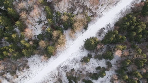 Drone flying over forest during winter looking down on snowy road Stock Footage 147496408