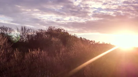 Drone flying over forest during sunset 1 動画素材 147496474