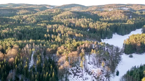 Drone flying over forest during winter 動画素材 147497876